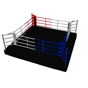 CEEROC PRO Boxring 5x5 Meter 4 Ringseile 30 cm Sockel